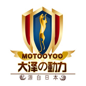 大泽动力发电机组