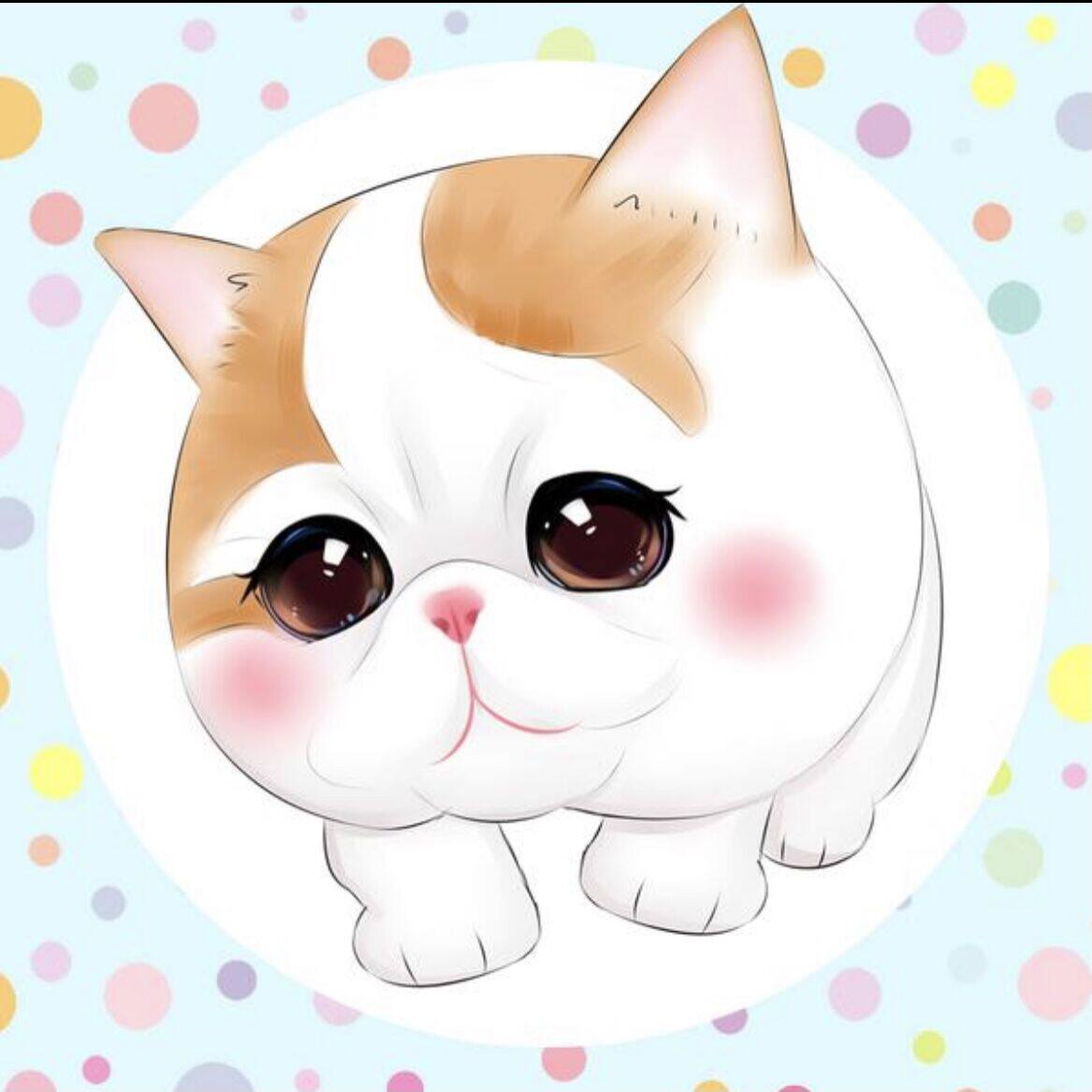 土豆尼尼宠物