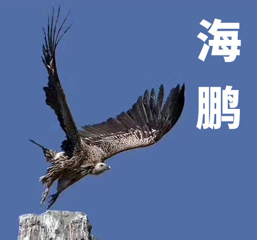 海鹏彩色包装厂