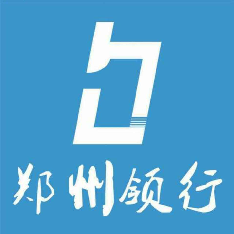 领行科技韩老师的店 店铺LOGO