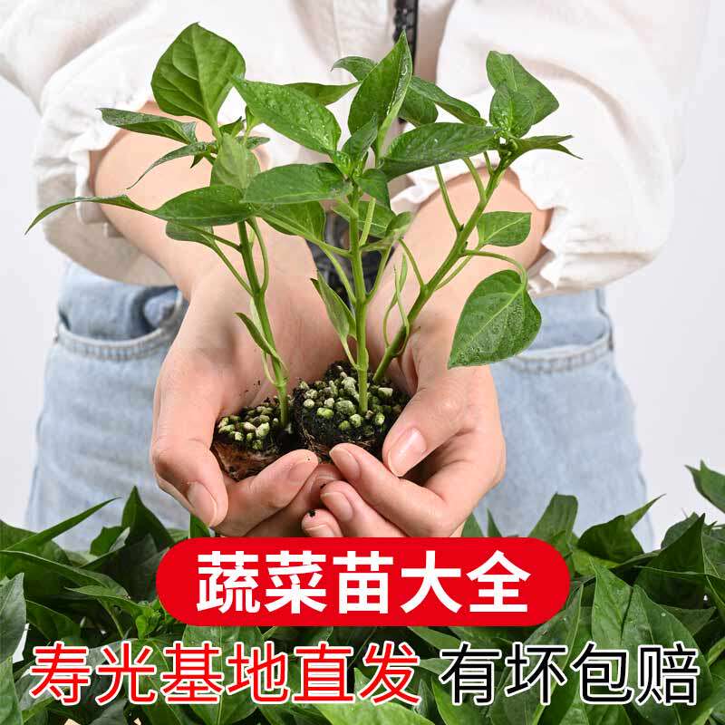 神农丰农业