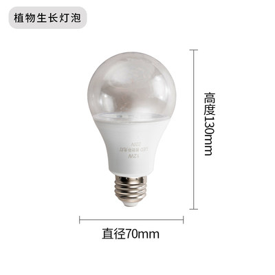 辉煌照明灯具厂