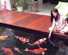中南水族基地