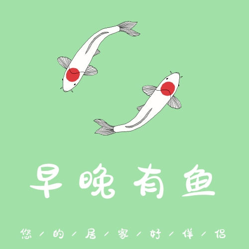 早晚有鱼 您身边的居家伴侣