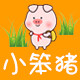 小笨猪生活馆