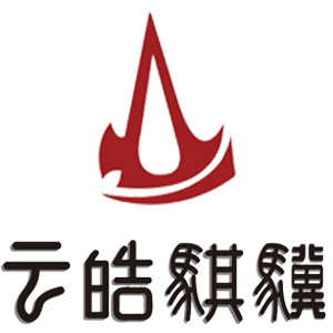 云皓骐骥智能平衡车工厂店
