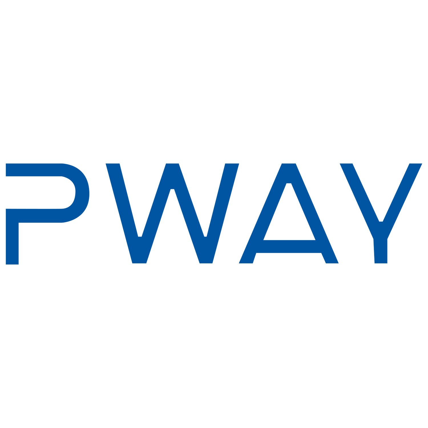 pway数码旗舰店