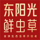 东阳光旗舰店