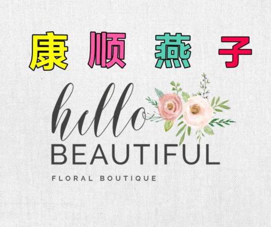 康顺燕子