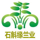 石斛缘兰业