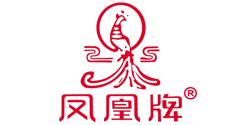 凤凰牌旗舰店