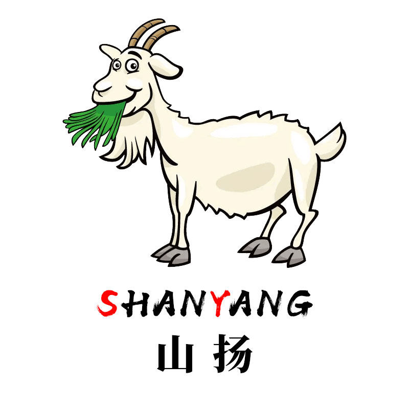 山扬旗舰店