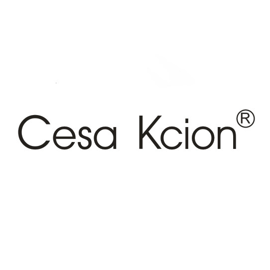 CesaKcion旗舰店