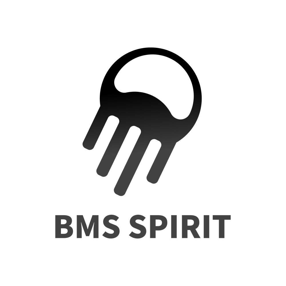 电池精灵BMSSpirit