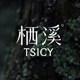 栖溪旗舰店 店铺LOGO