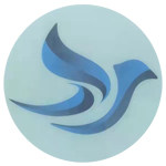 风之子宠物用品商城 店铺LOGO