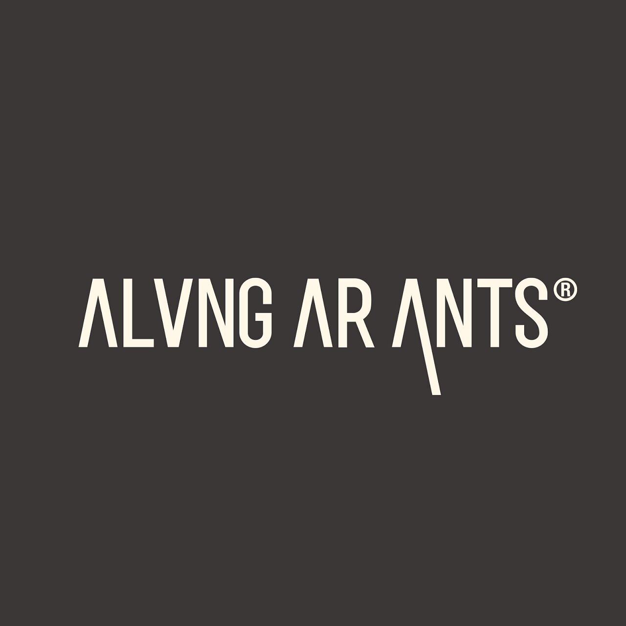 芸蚁 ALVNG AR ANTS