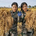 五常大米莲花村姐妹