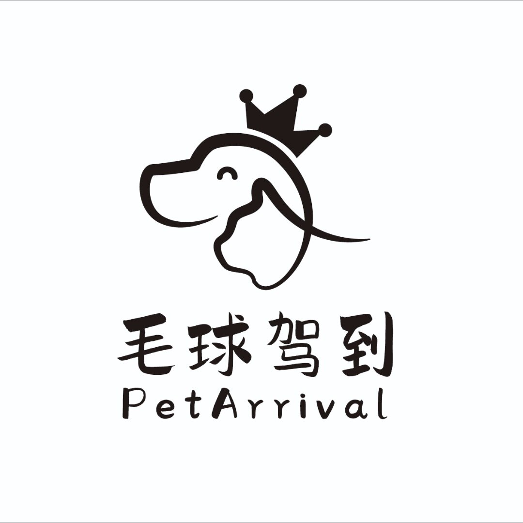 毛球驾到