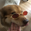 红包宠物生活馆