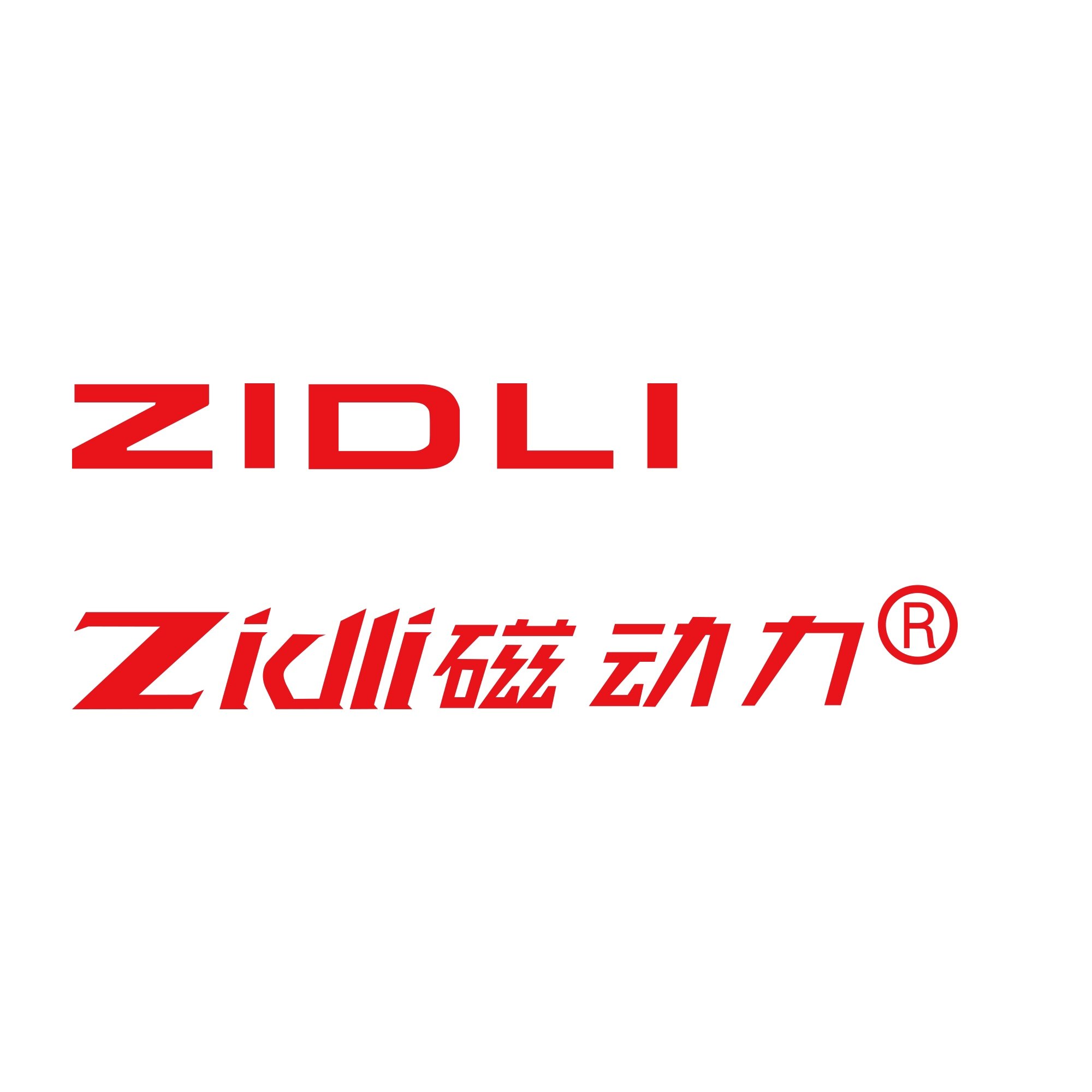 ZIDLI磁动力网咖电竞品生活馆