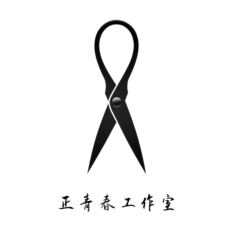 正青春工作室 店铺LOGO