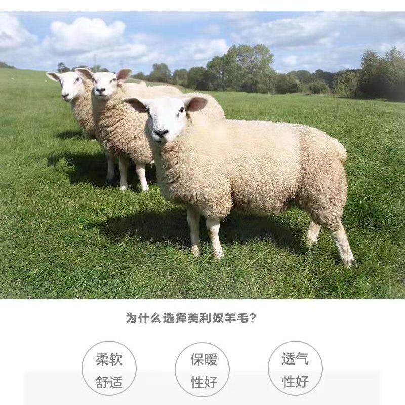 针织羊毛衫企业店