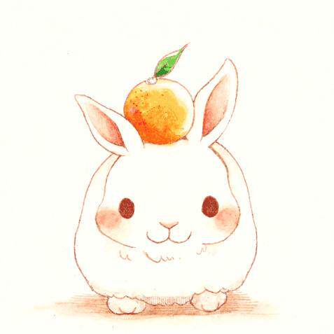 甜心小宠Honey pets