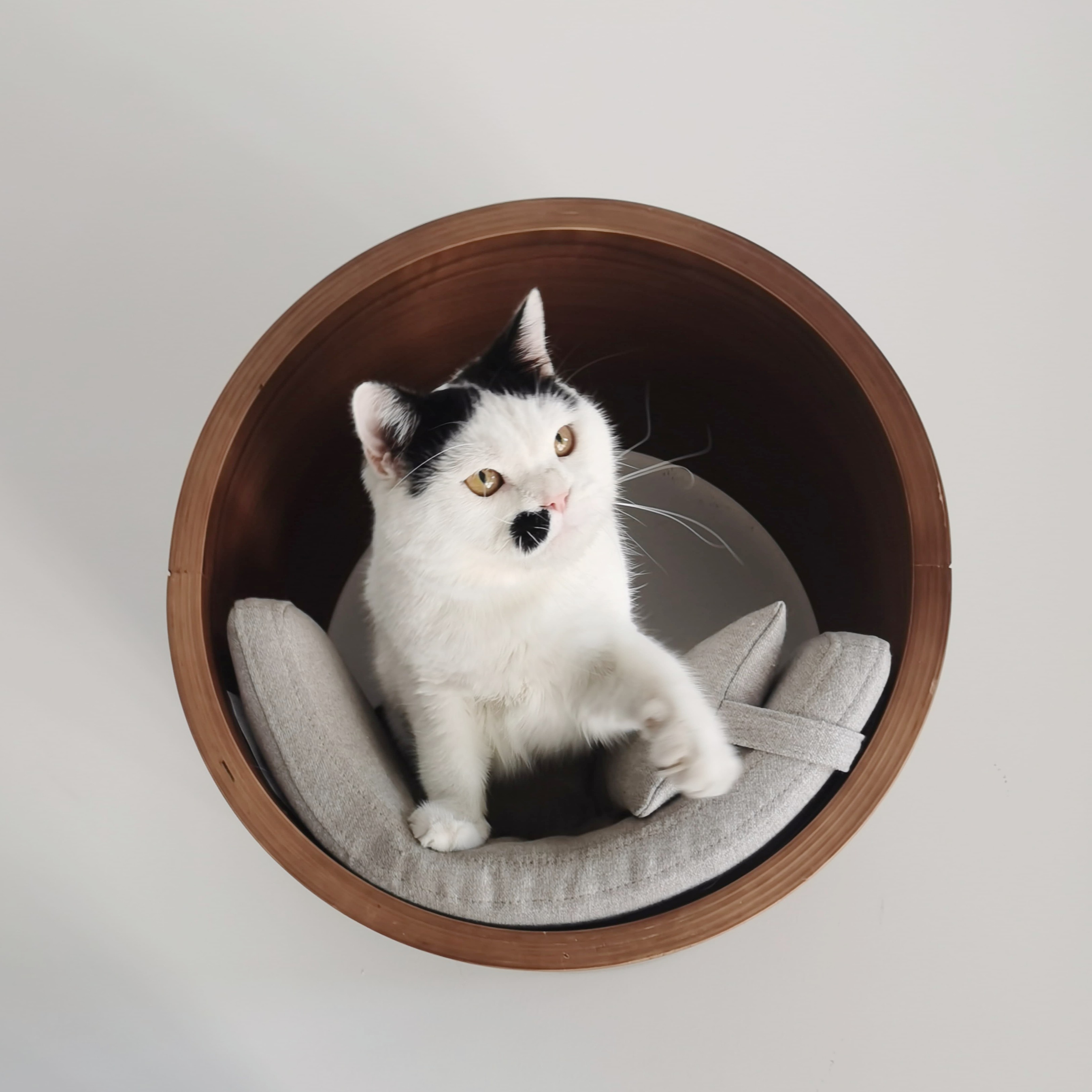 养三只猫的设计师 家用墙壁式猫爬架