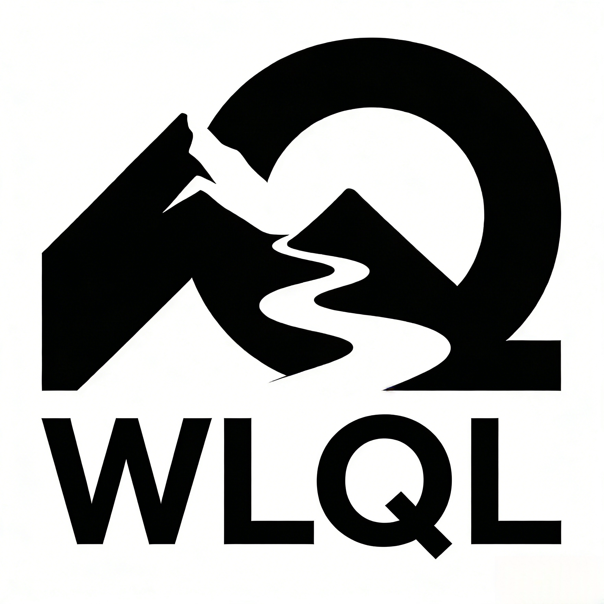 W L Q L 手机壳数码店