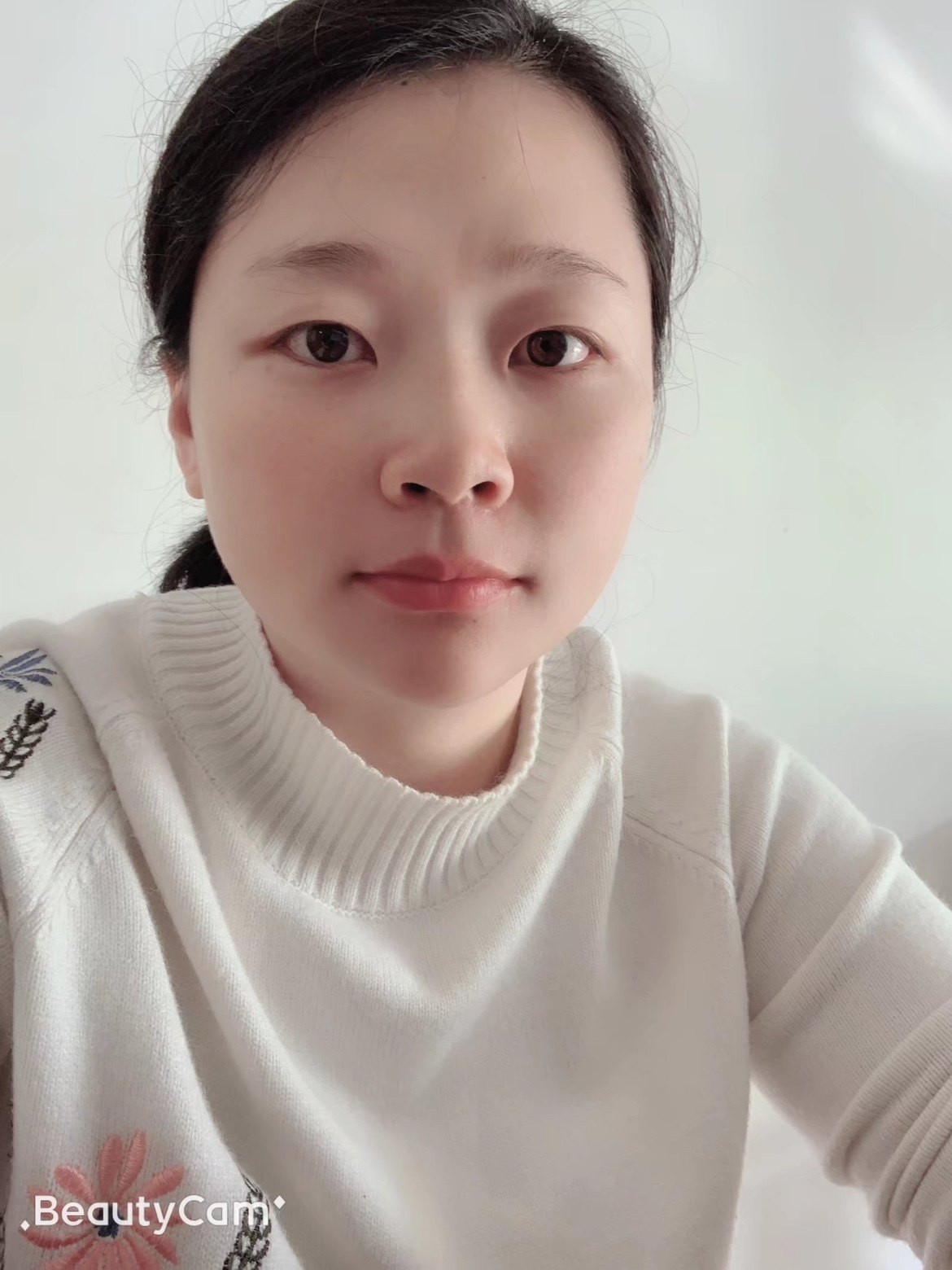 Zidon智东除静电设备制造商