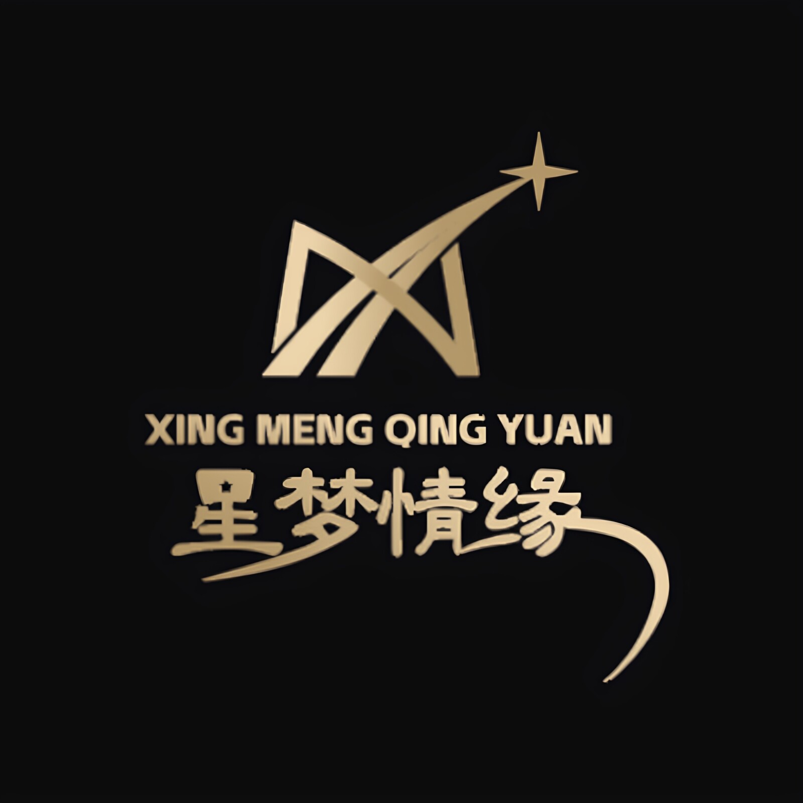 星梦情缘 微胖女神私人衣橱 店铺LOGO
