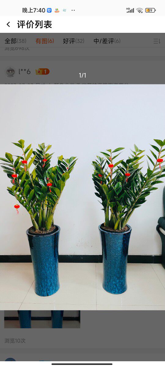 恋家花卉园艺批发店