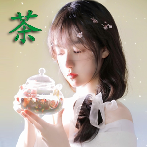 沁园春堂花茶批发总店