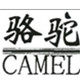 骆驼生活电器店