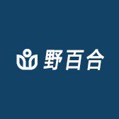 野百合汽车脚垫毛毯