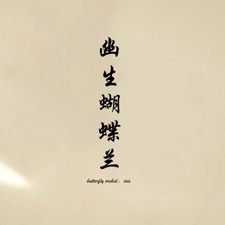 幽生蝴蝶兰