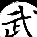 飞龙武术健身器械店