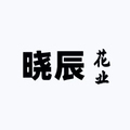 晓辰花业