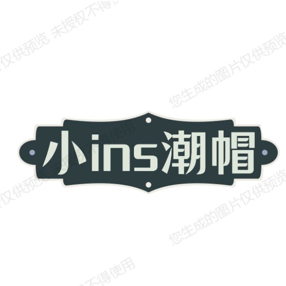 小ins潮帽 店铺LOGO