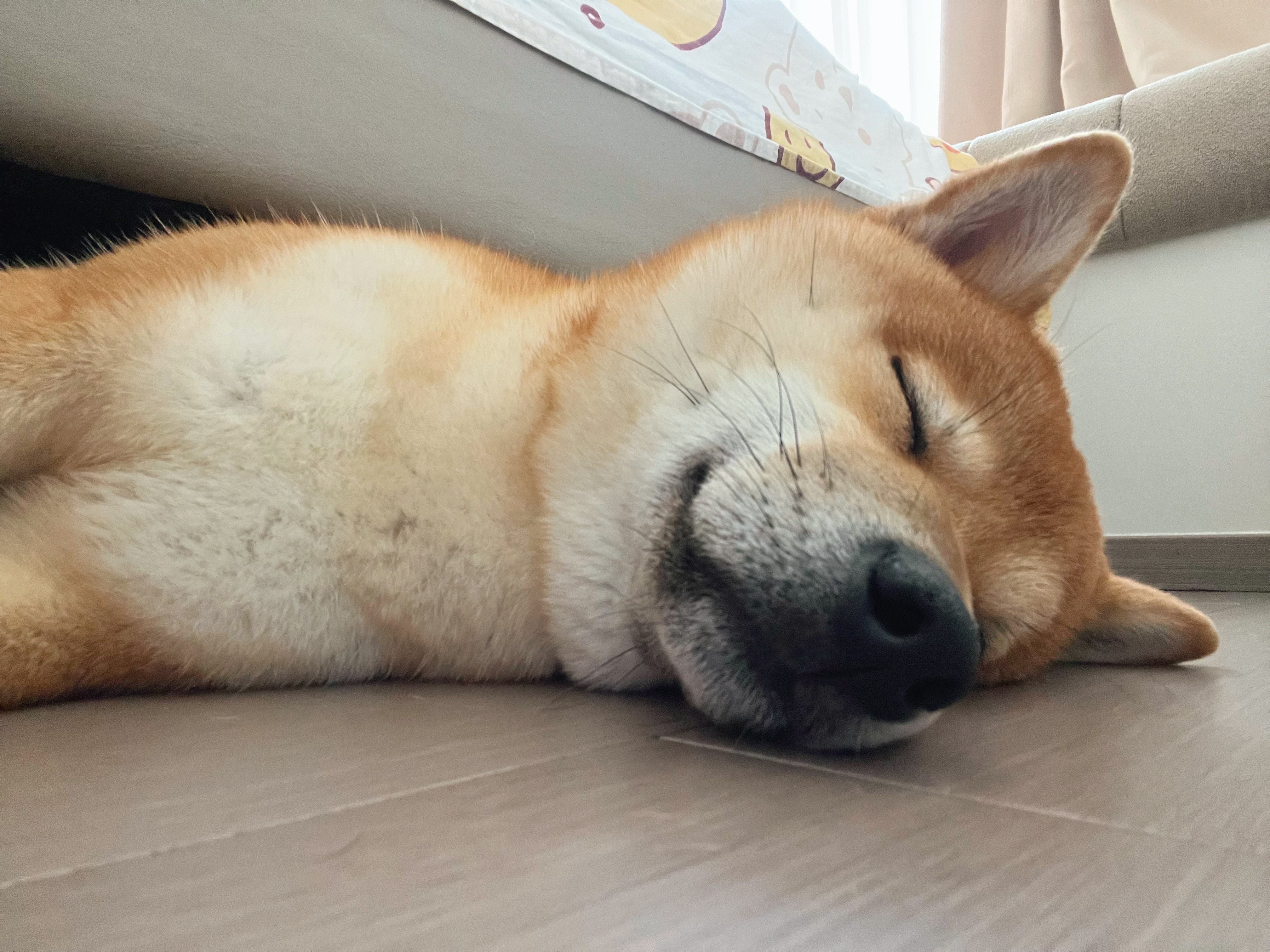 性价比高手