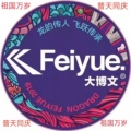 Feiyue大博文 店铺LOGO