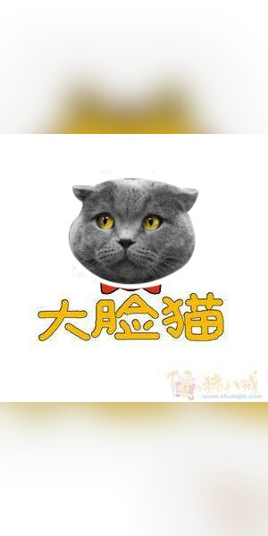 大脸招财猫的饰品坊