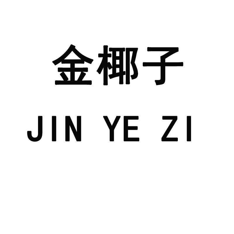 金椰子女装店铺