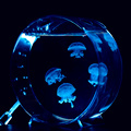梦幻水母馆