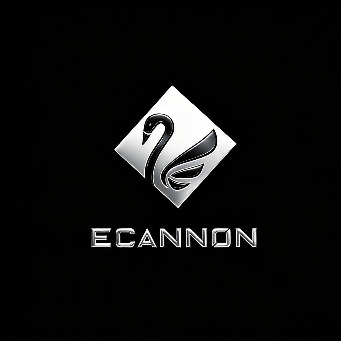 ECAN赛车模拟