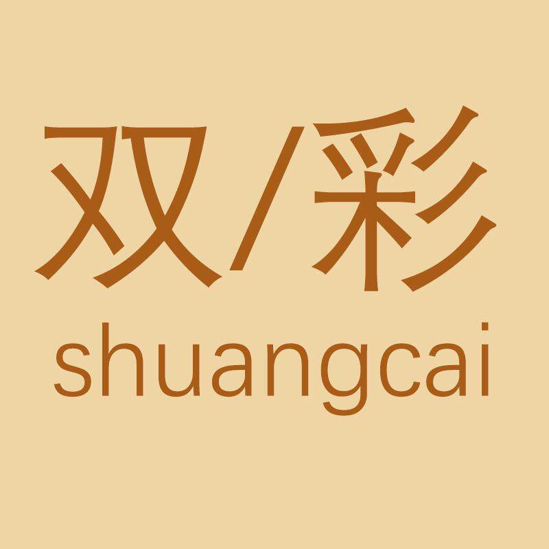 双彩内衣店 店铺LOGO