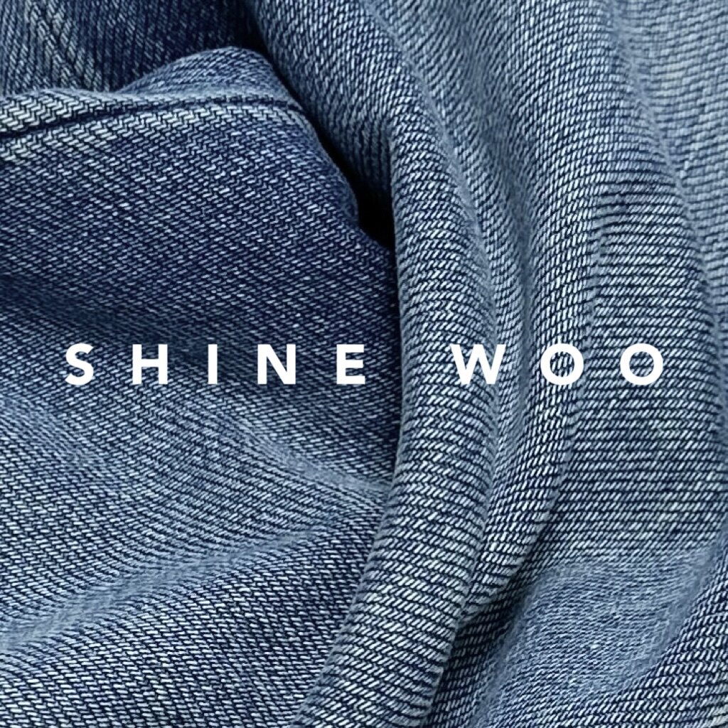 Shinewoo 轻奢简搭