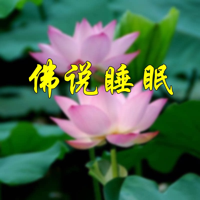 佛说睡眠