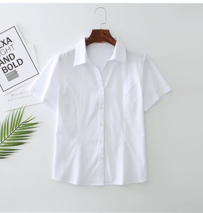 假领子衬衣领 衬衫服饰店